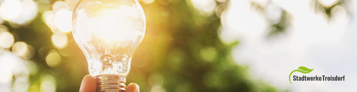 Energie-Onlineshop