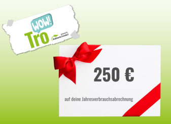 Gewinne 250€ auf deine Jahresverbrauchsabrechnung! 